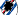 UC Sampdoria UC Sampdoria